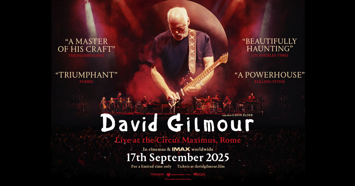 david